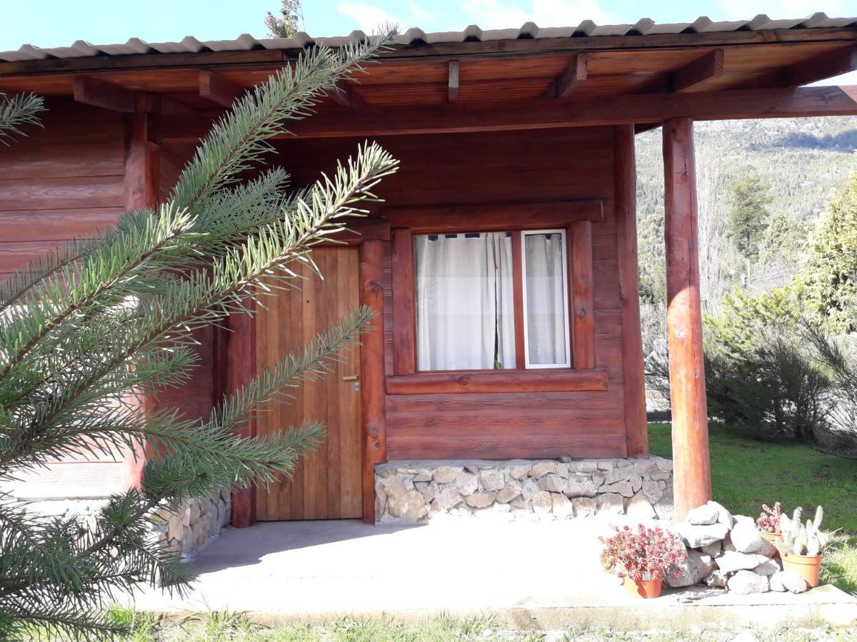 El Jarillal Chalet De Montana A Pasos Del Lago Lago Puelo Exterior photo